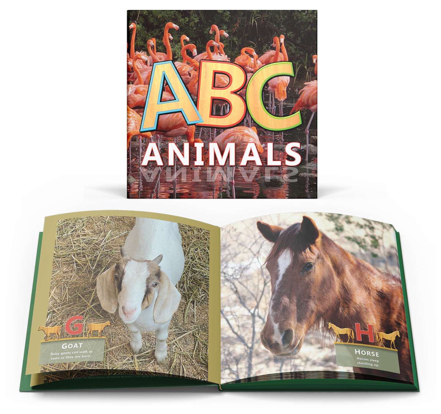 abc animals book